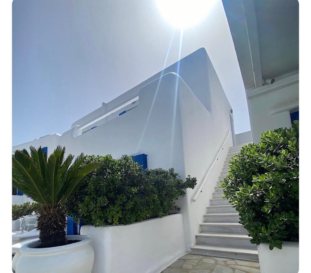 White Luxury With Shared Pool Downtown