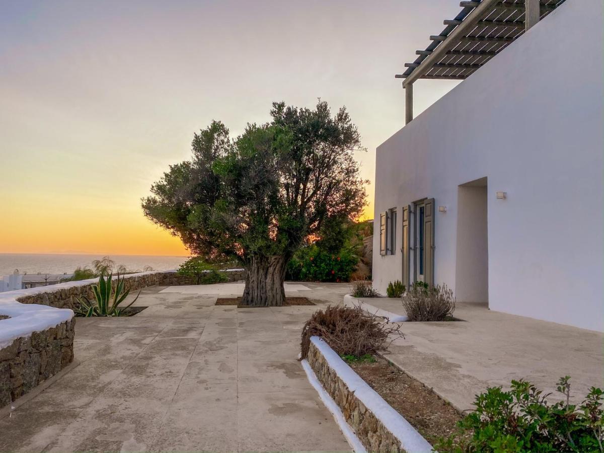 Villa Paradise Estate Community *