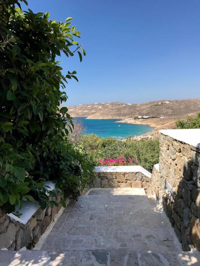 Calma House Villa Elia (Mykonos)