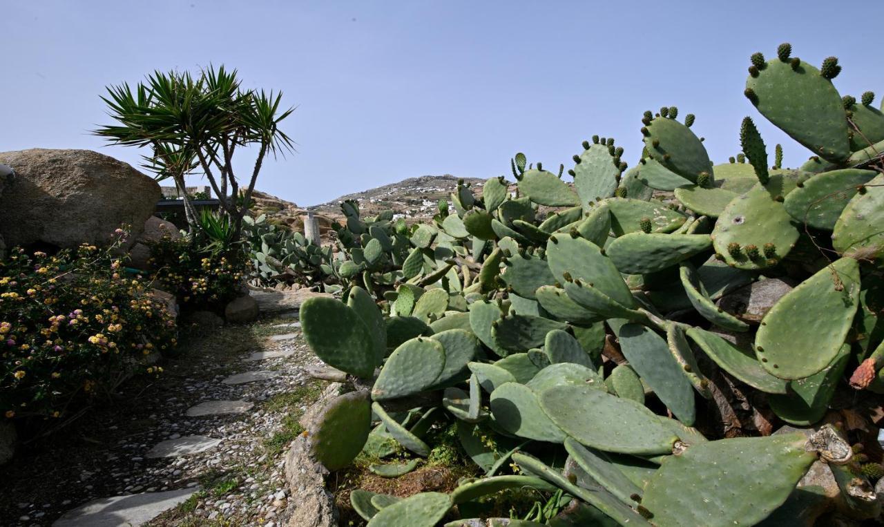 Platis Gialos: Charming Retreat With Private Pool Paradise Beach (Mykonos)