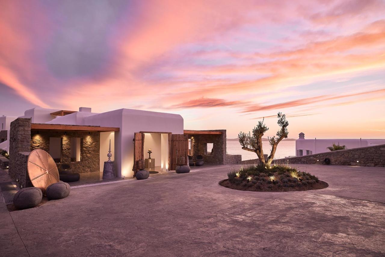 Hotel Amazon Mykonos & 5*