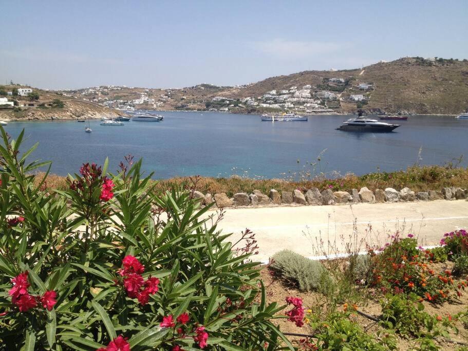 Paris House Apartment Mykonos Town