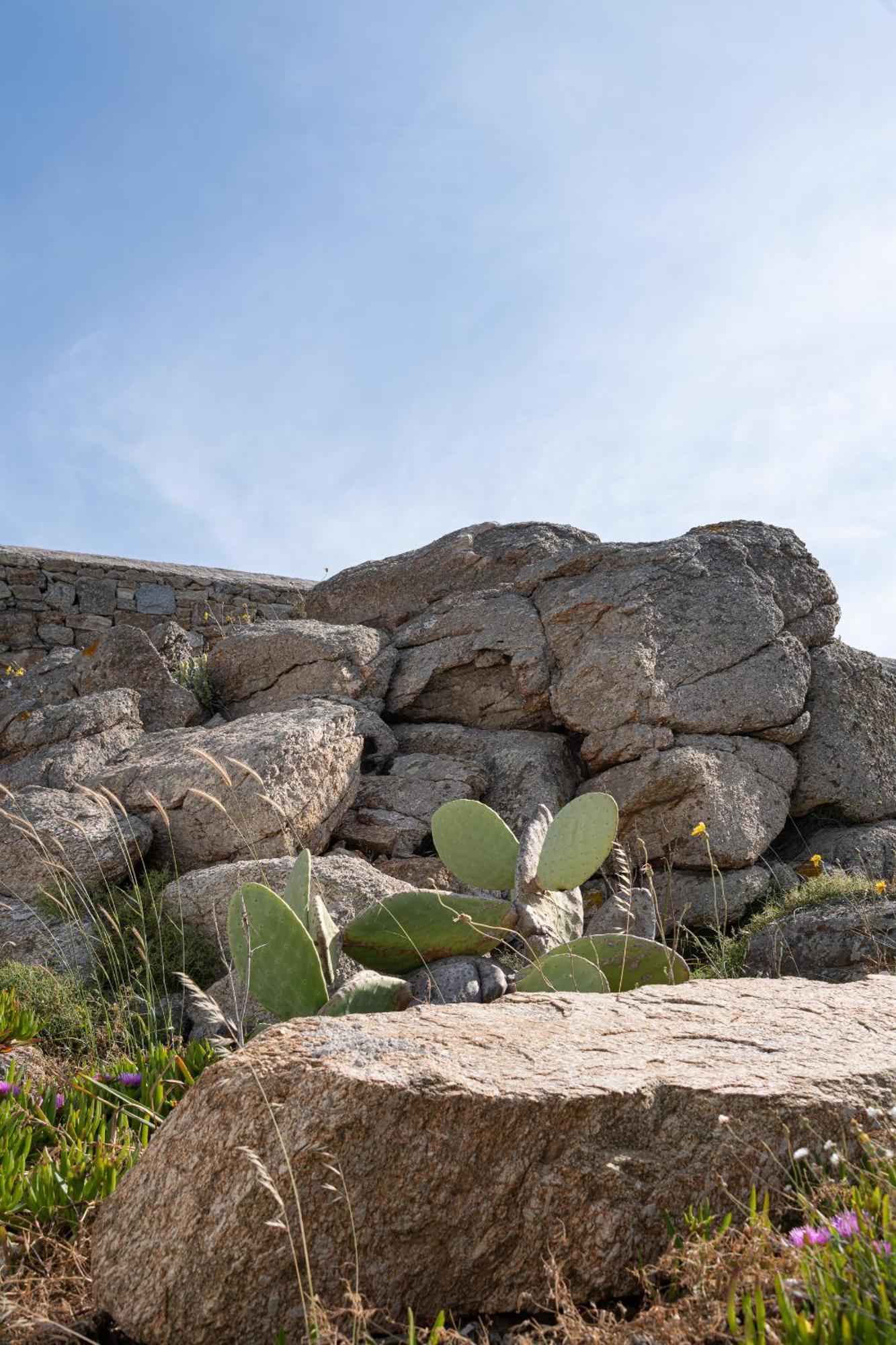 Gasthof Etesians & Super Paradise Beach (Mykonos)