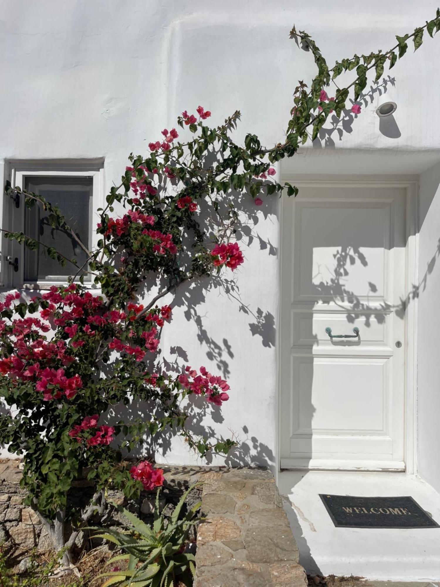 Luxurious Traditional