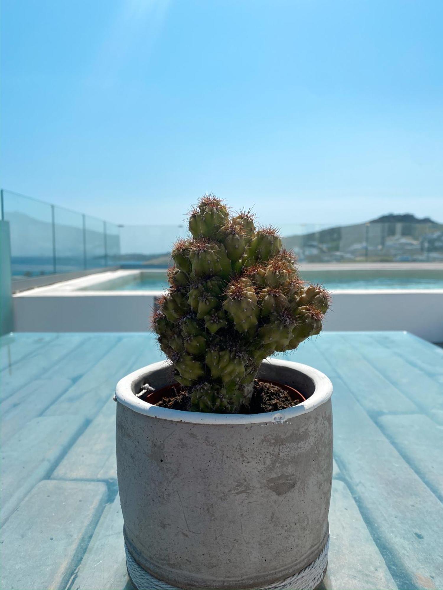 Hotel Amperian Mykonos &