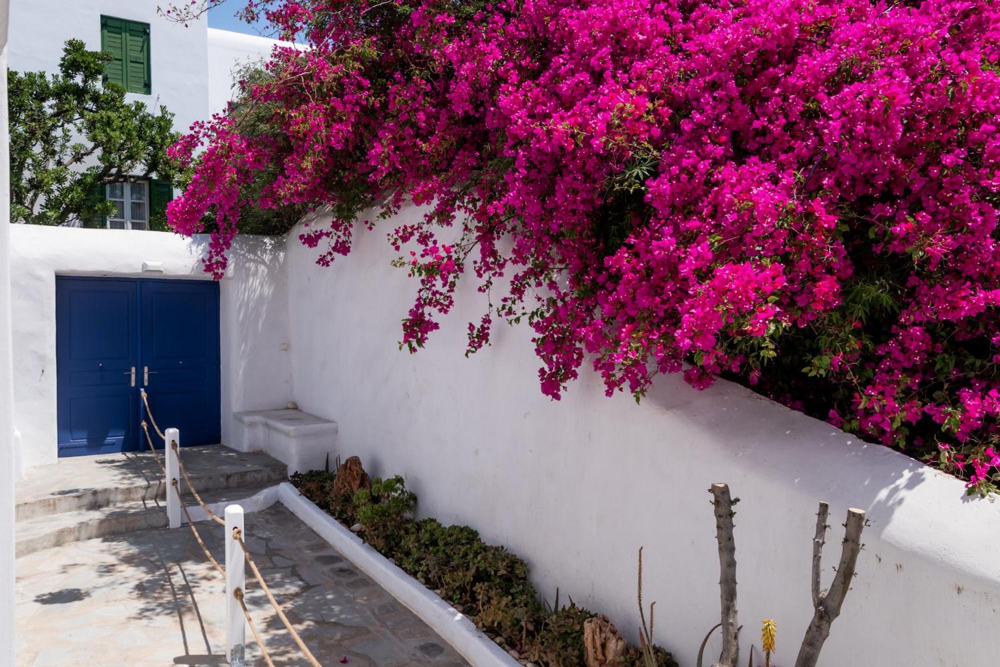Olive Tree, 2brm With Pool Apartment *