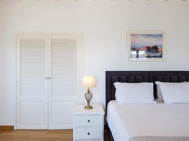 Archon Mykonos Luxury Villa *