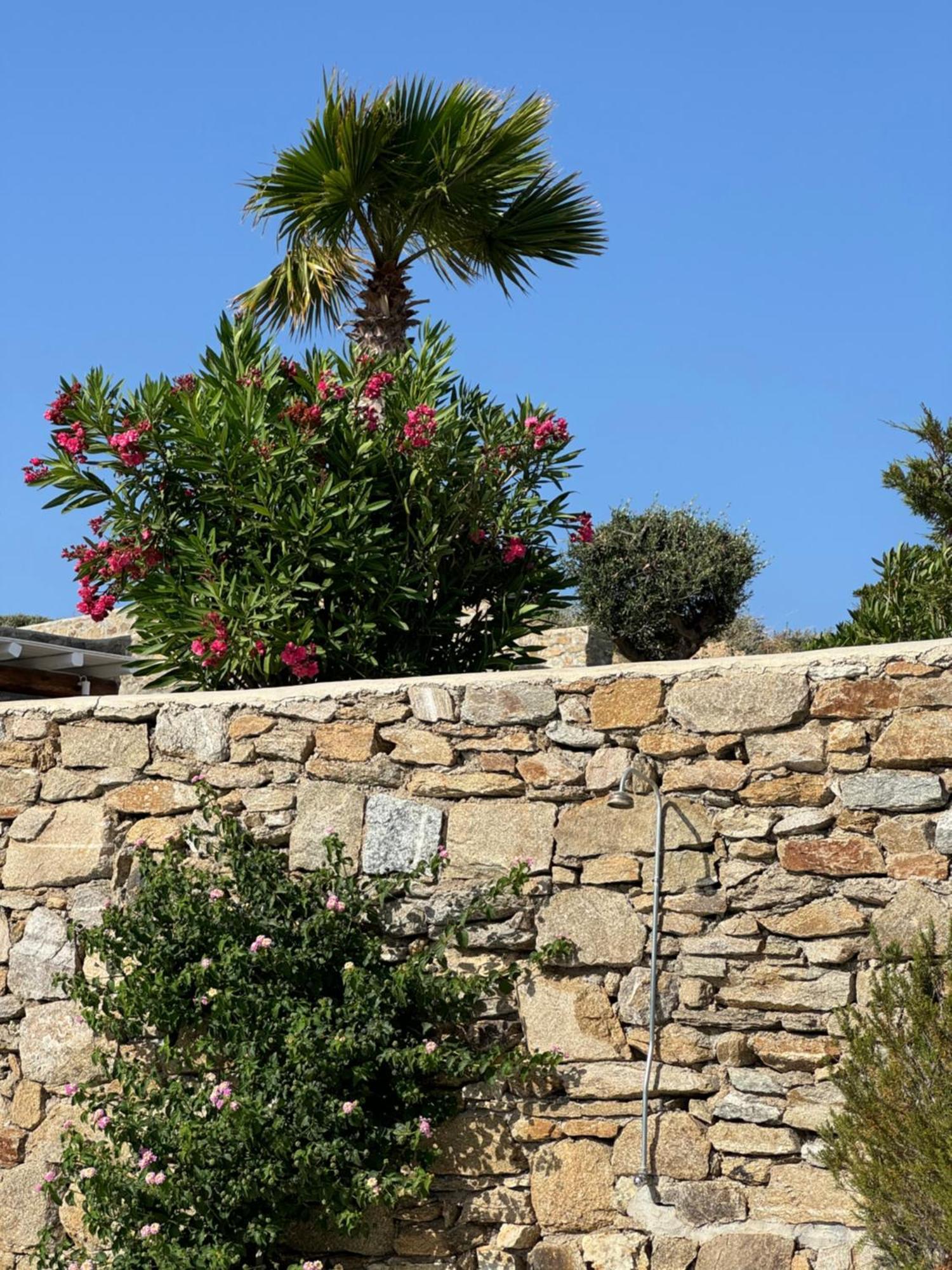 Anna * Elia (Mykonos)