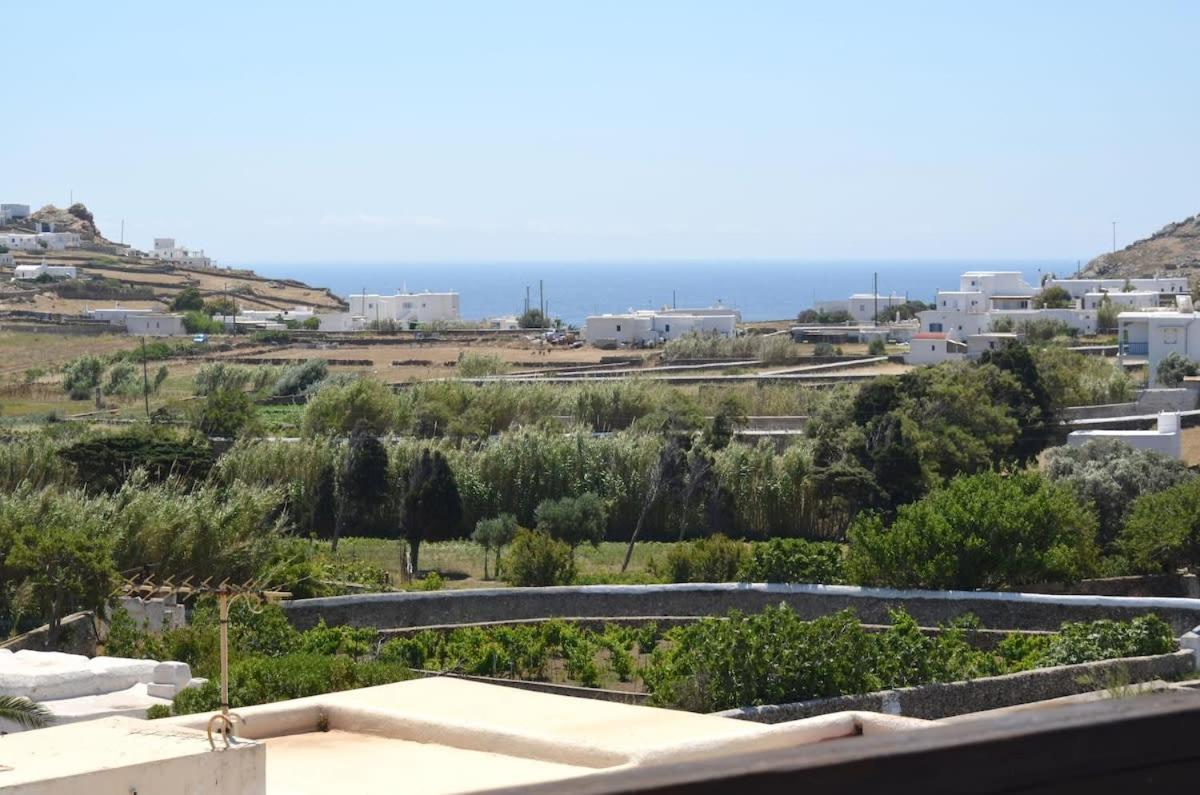 Beautiful Traditional Apt In Mikonos Holiday home Ano Mera