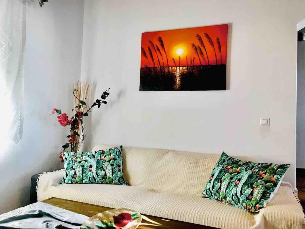 Beautiful Traditional Apt In Mikonos Holiday home *