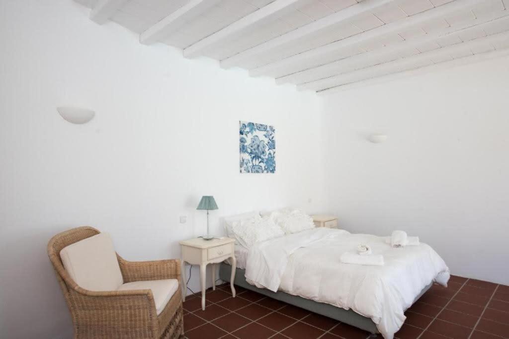 Mykonian Private 2 Bd With Private Pool Inn Ftelia (Mykonos)