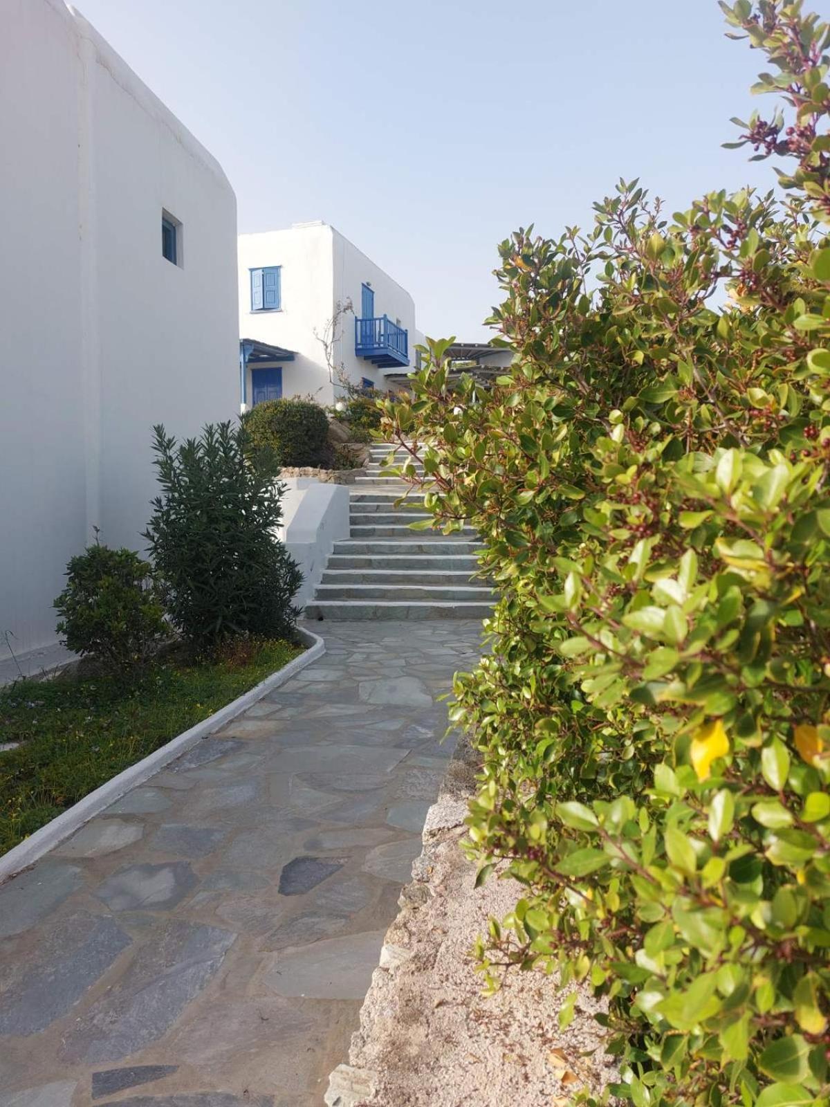 Traditional Dream Myconian * Ornos (Mykonos)