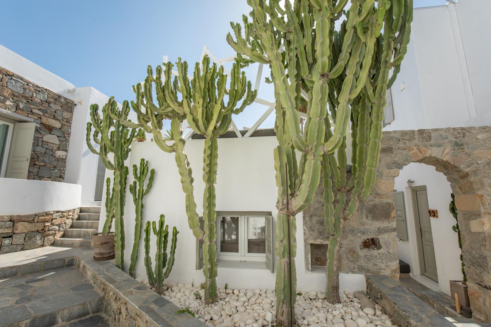 Damianos Mykonos Hotel