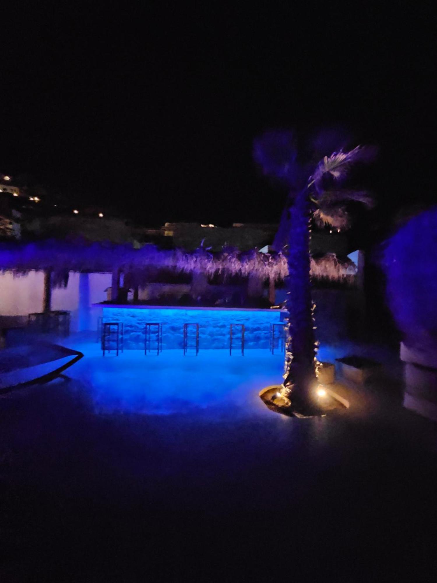 Elli Tropical Luxury Sunset-infinity Pool- Sea Side-near Center Parking Mykonos Town