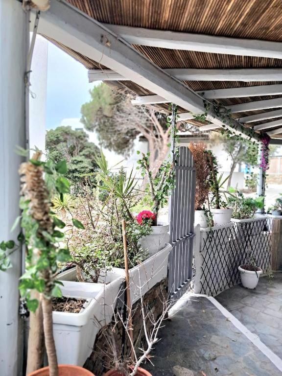 Cute Double Storey I Pool & Apartment *