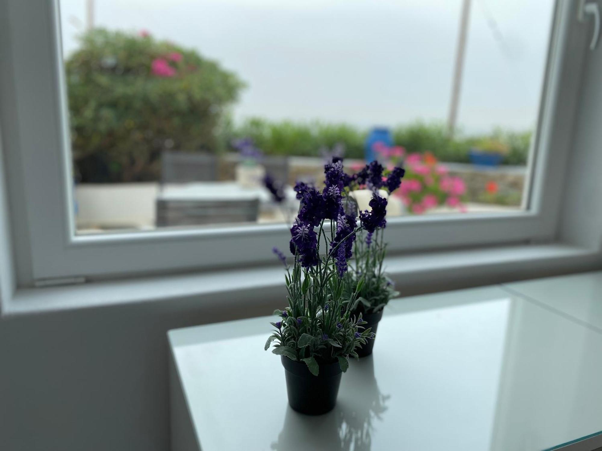Aegean Bliss - Stylish In Agios Stefanos