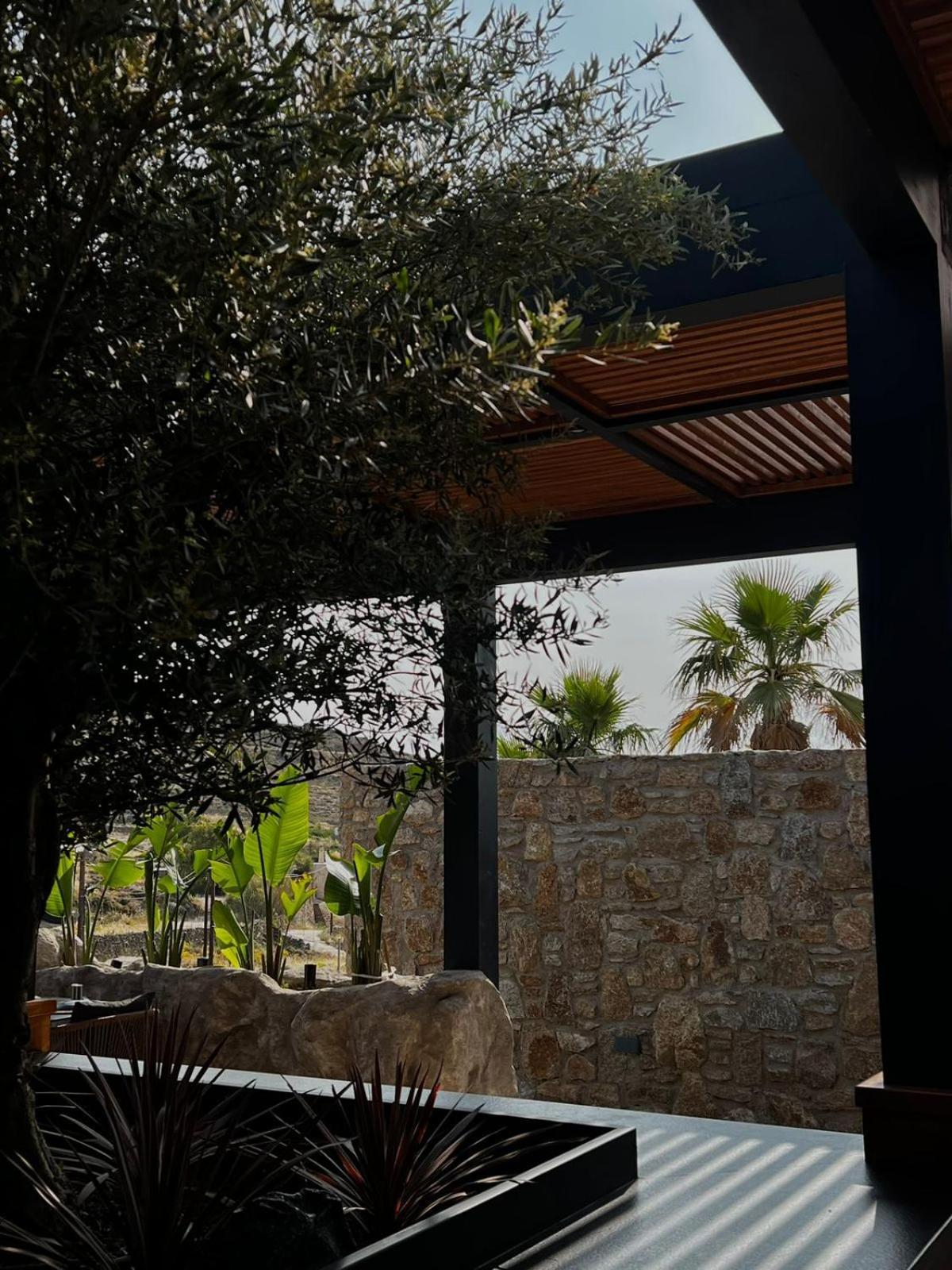 Hotel Black