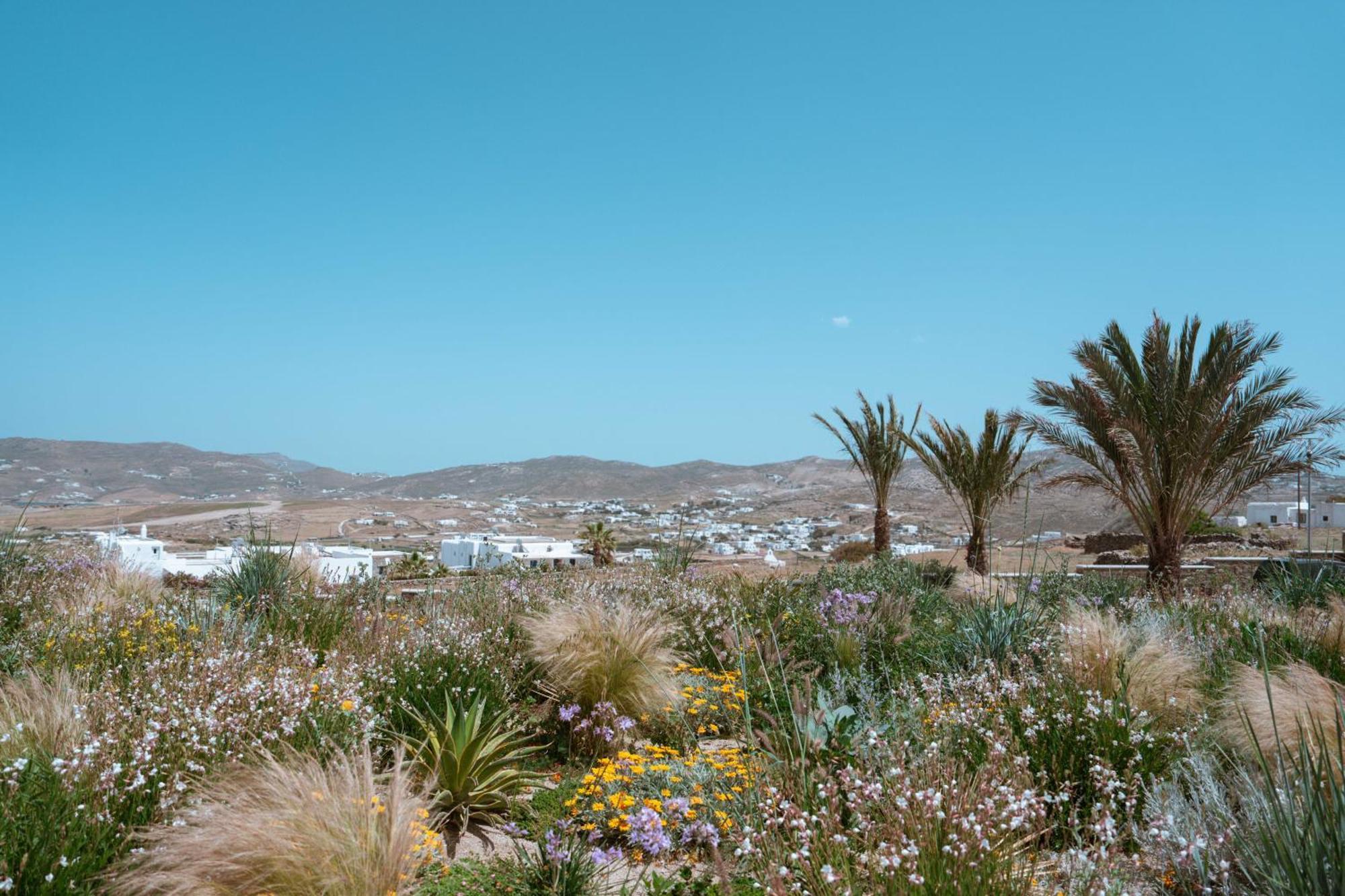 Noir Mykonos Mykonos Town
