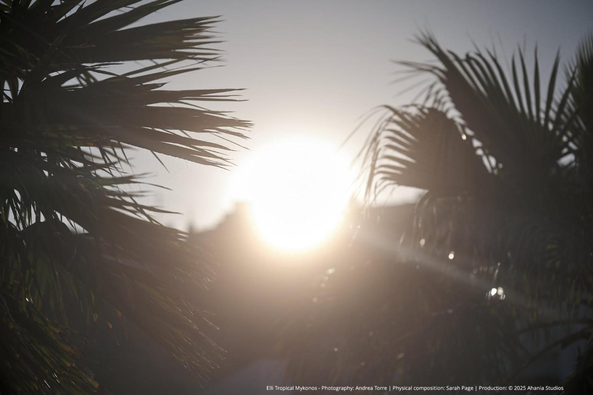 Elli Tropical Luxury Sunset-infinity Pool- Sea Side-near Center Parking Aparthotel *