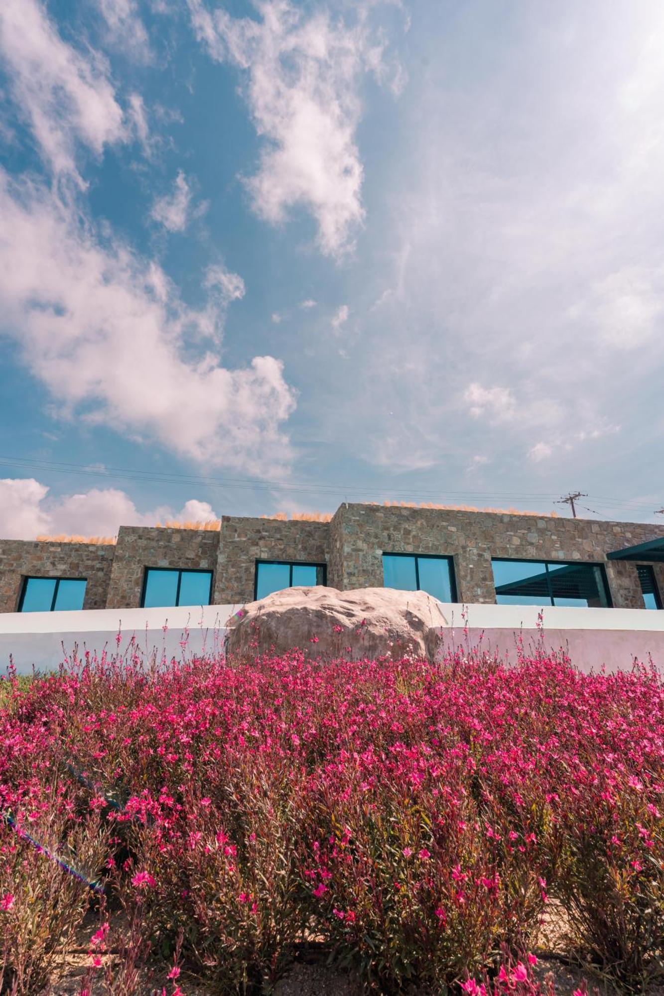 Mega Mansions Mykonos Ftelia (Mykonos)