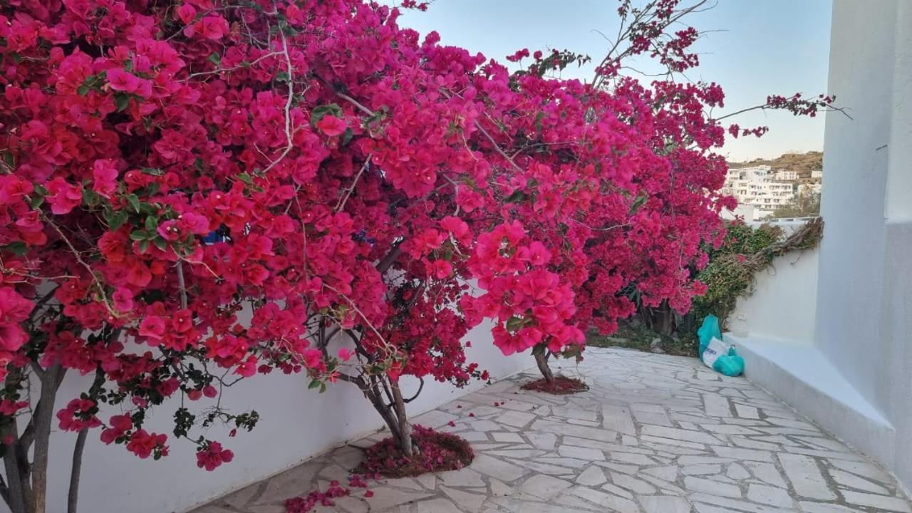 Hidden Gem * Ornos (Mykonos)