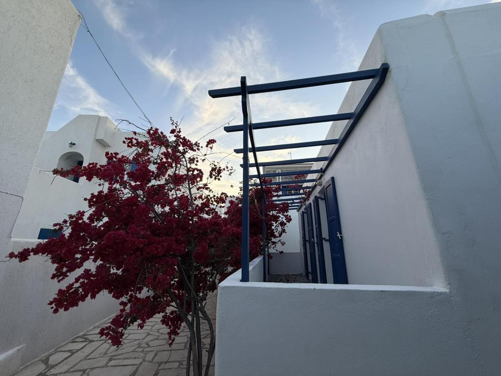Apartment Hidden Gem