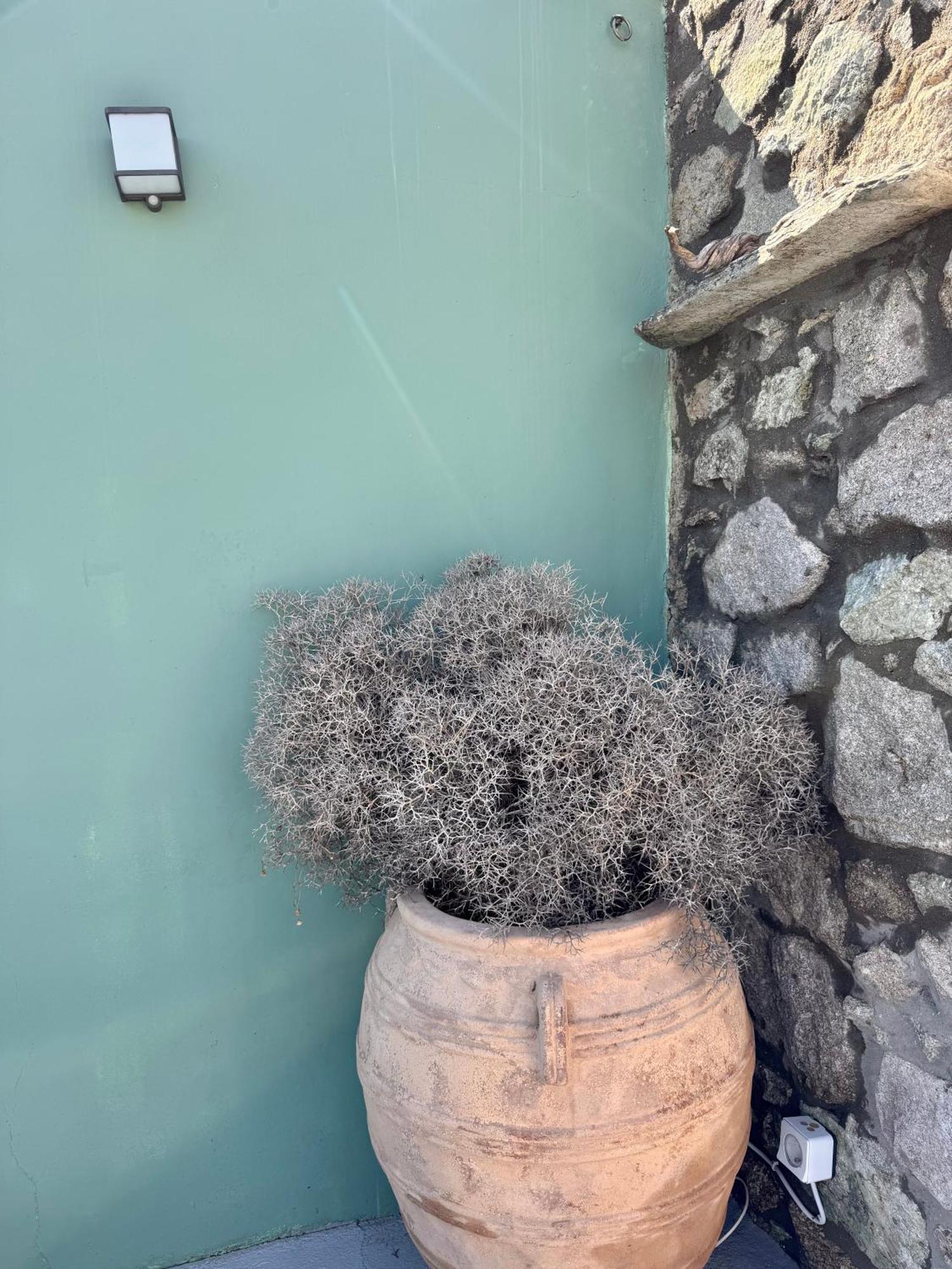 Mykonos Nest *
