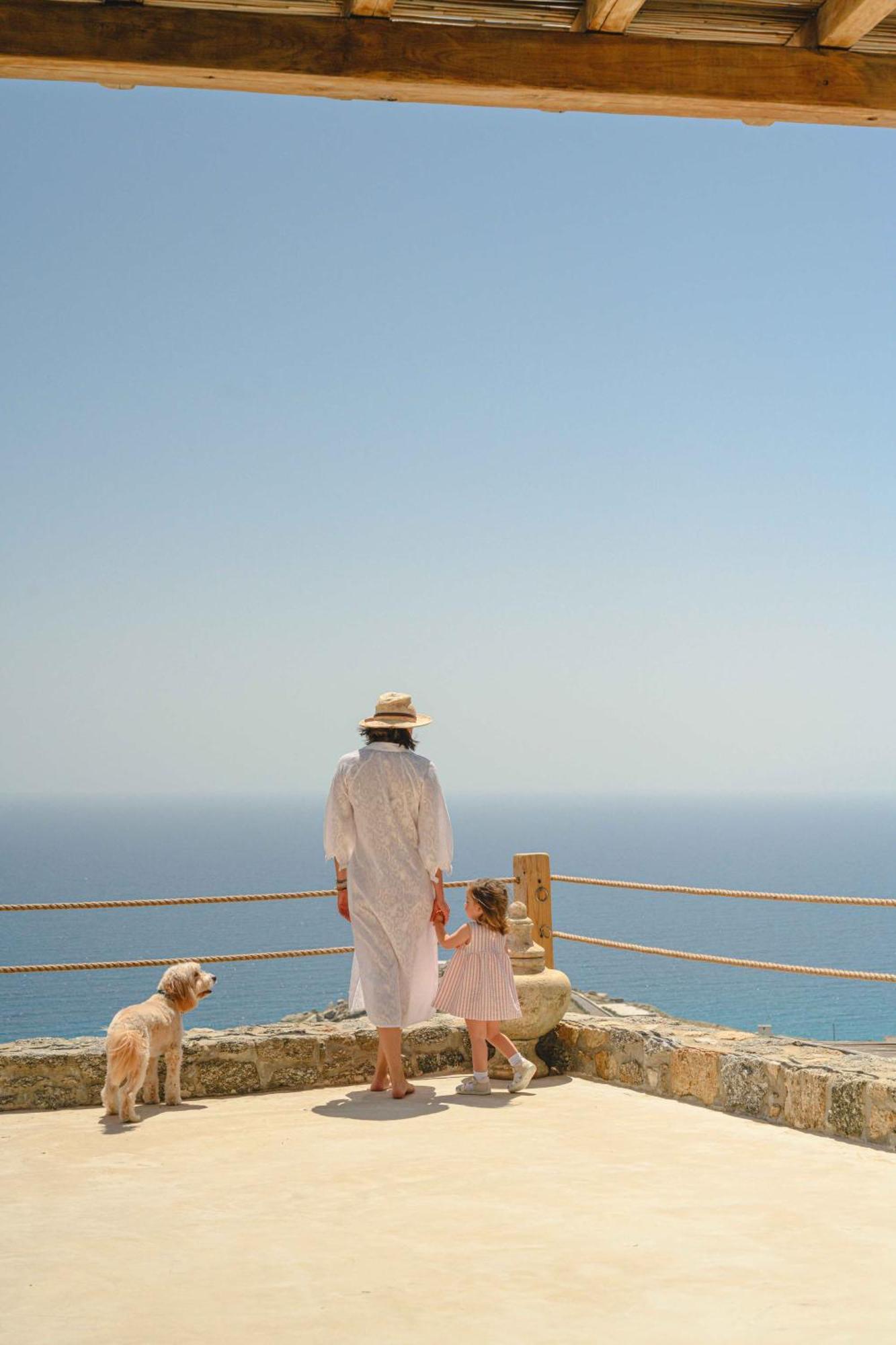 Ananda Mykonianvilla Villa Panormos (Mykonos)