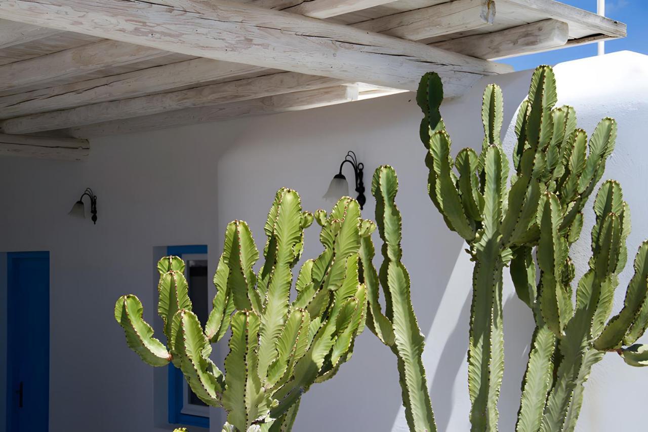 Anamar Destino Mykonos (adults Only) 5* Agios Stefanos (Mykonos)