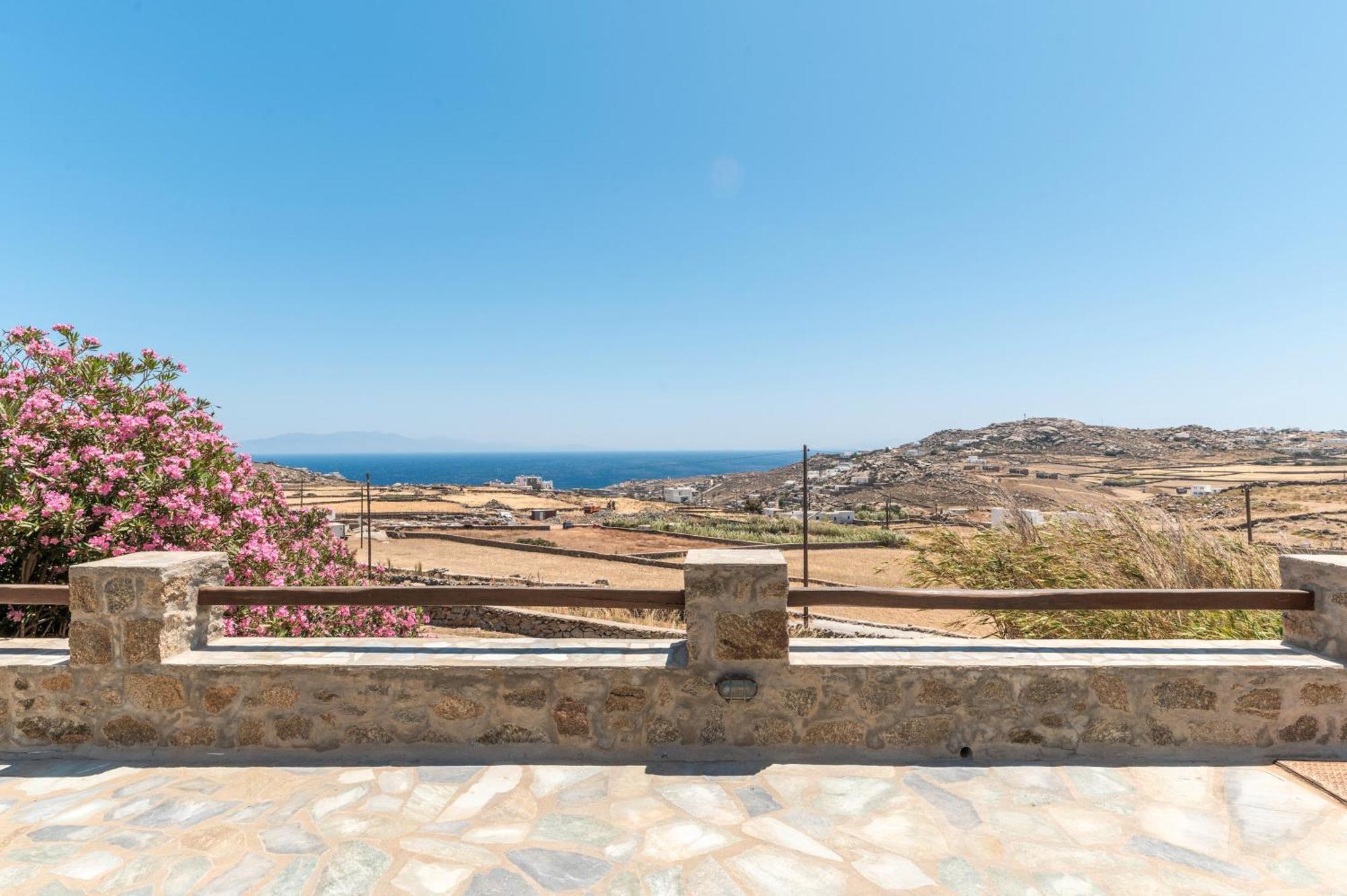 Anastasias Mykonos Plintri