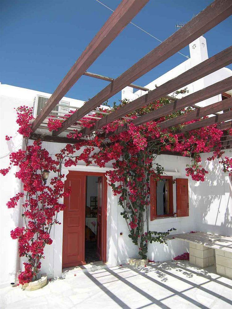 Vasilis Guest house 3*