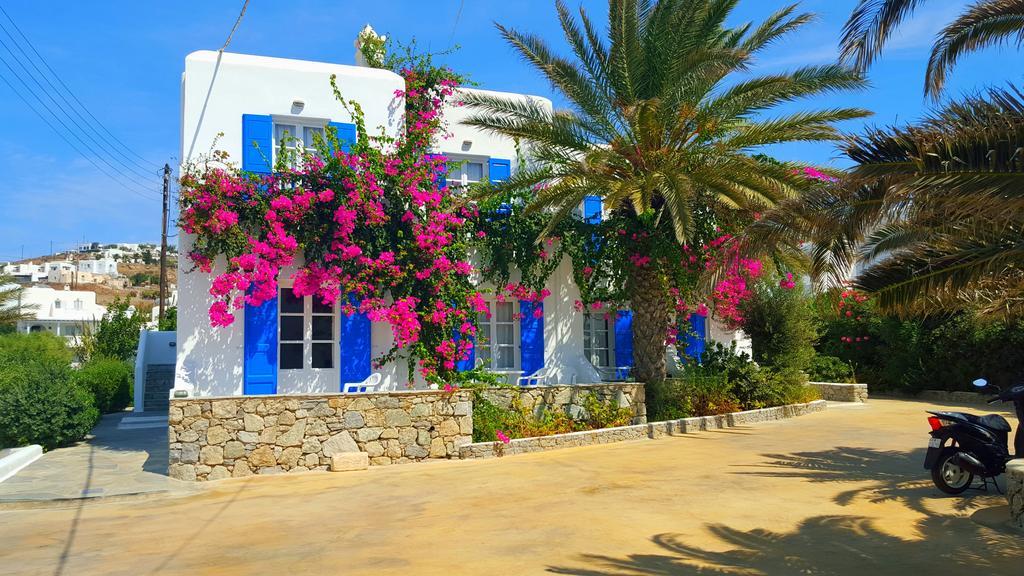 Aparthotel Anemos Ornos (Mykonos)
