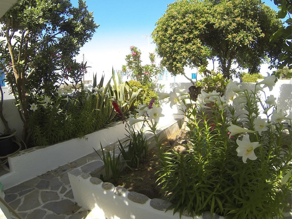 Guest house Kavaki