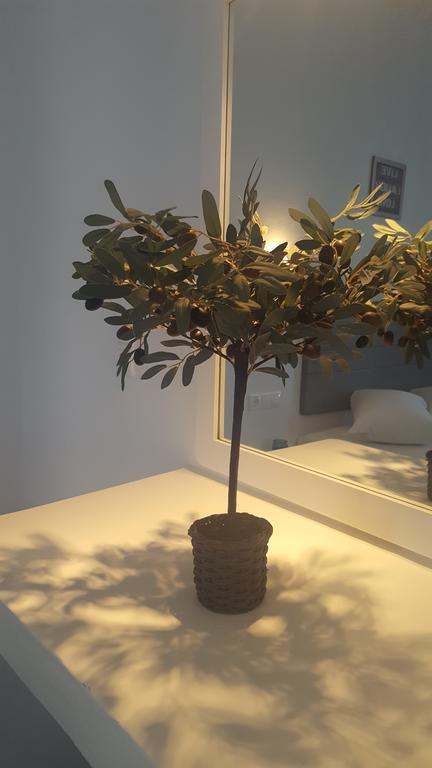 Aparthotel Anemos Ornos (Mykonos)
