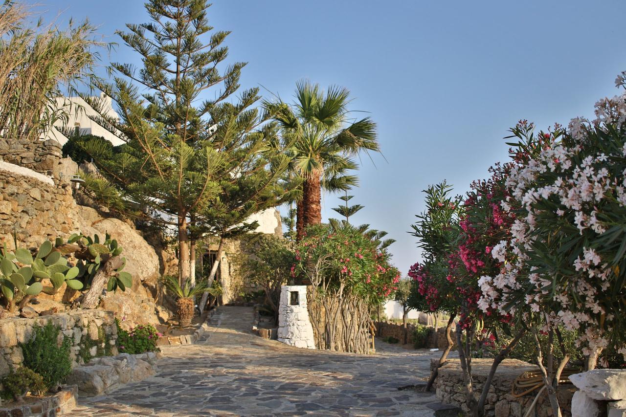 Villa Kounoupas *