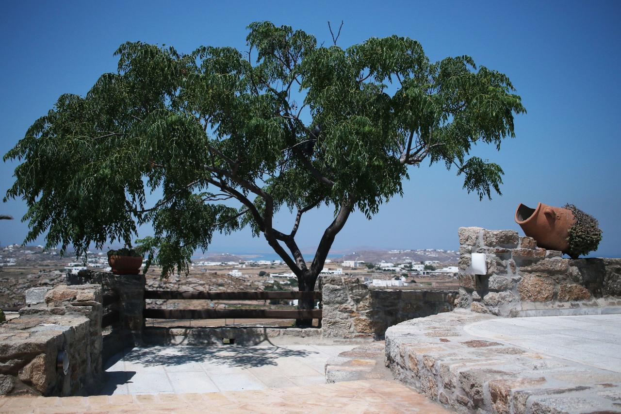 Villa Kounoupas *