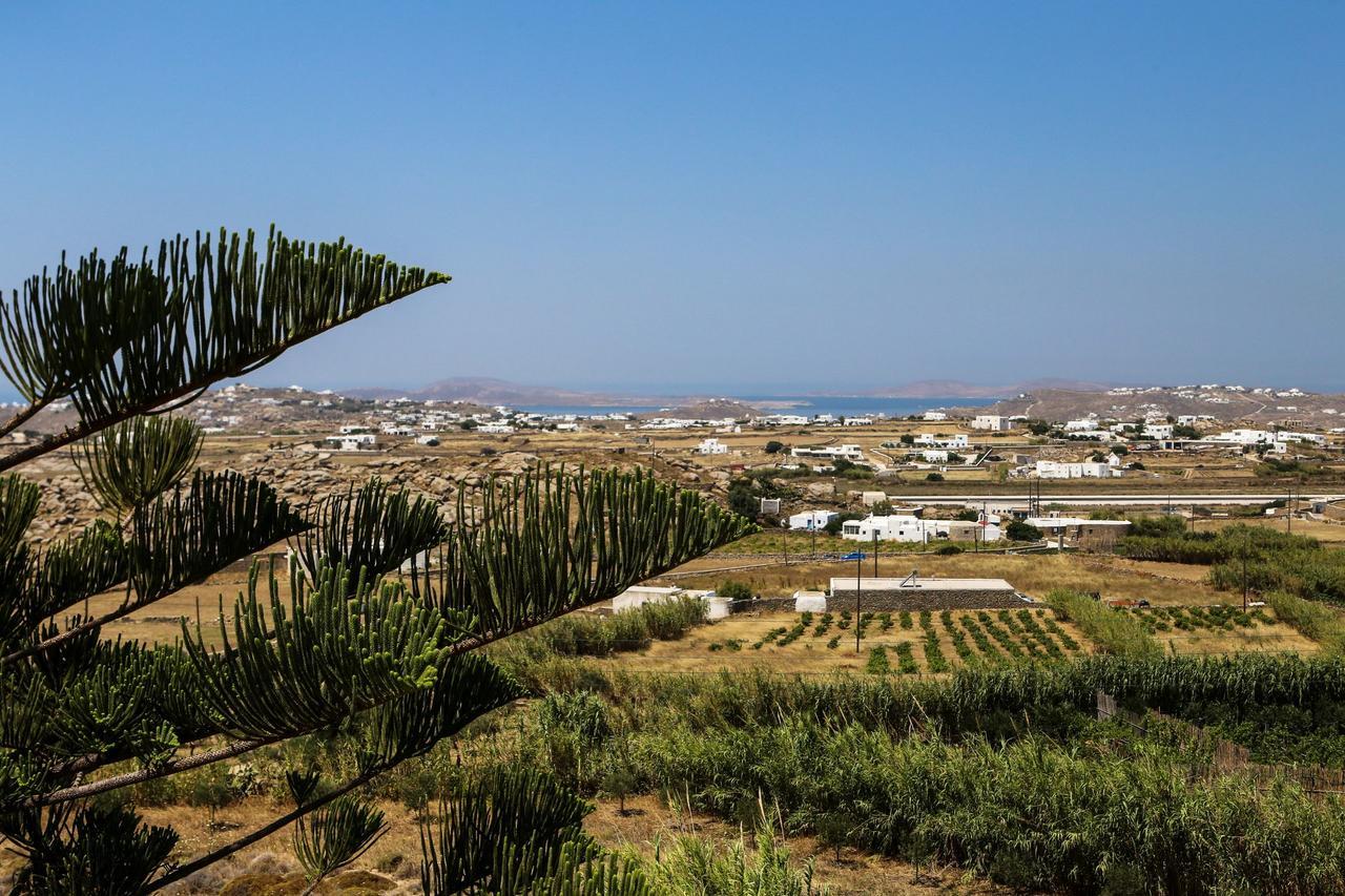 Kounoupas Mykonos Town