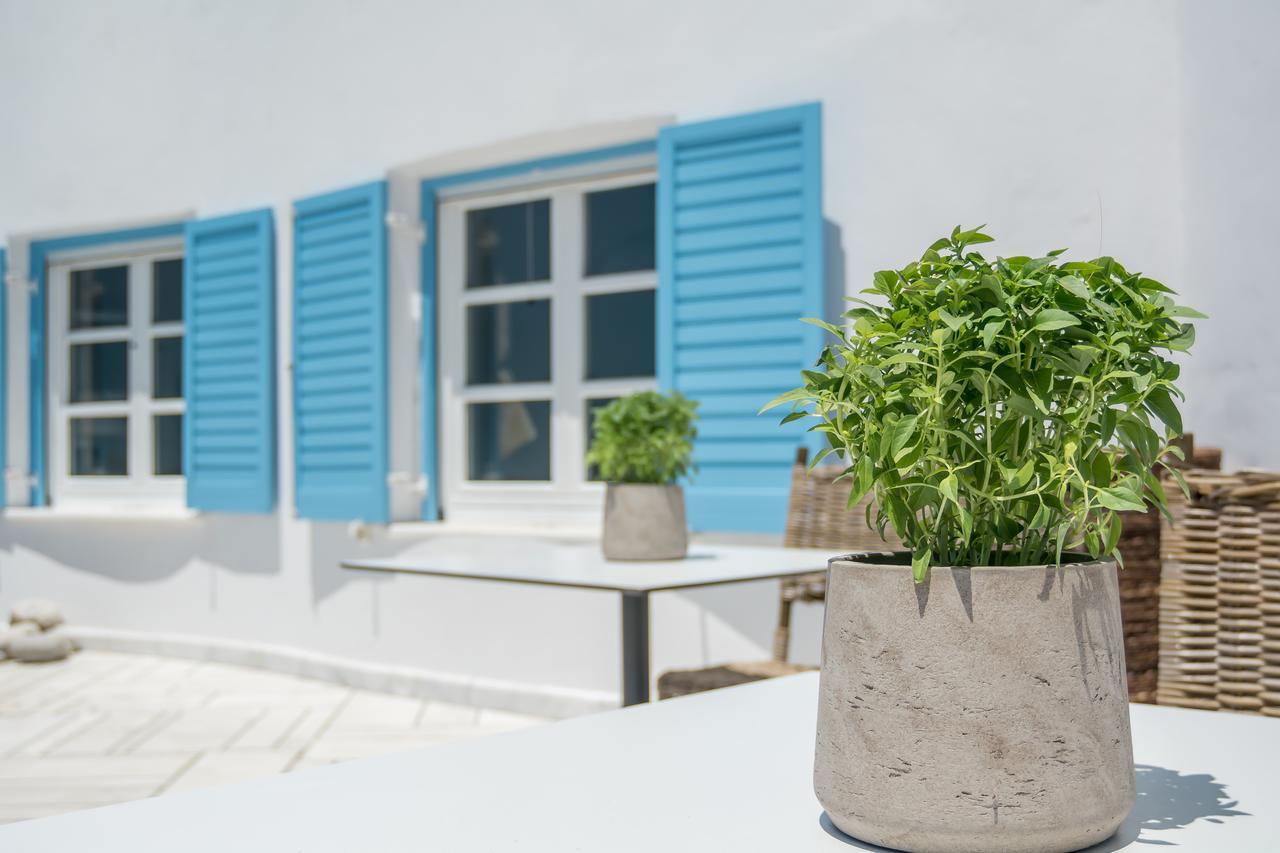 Capo Di Mykonos Hotel