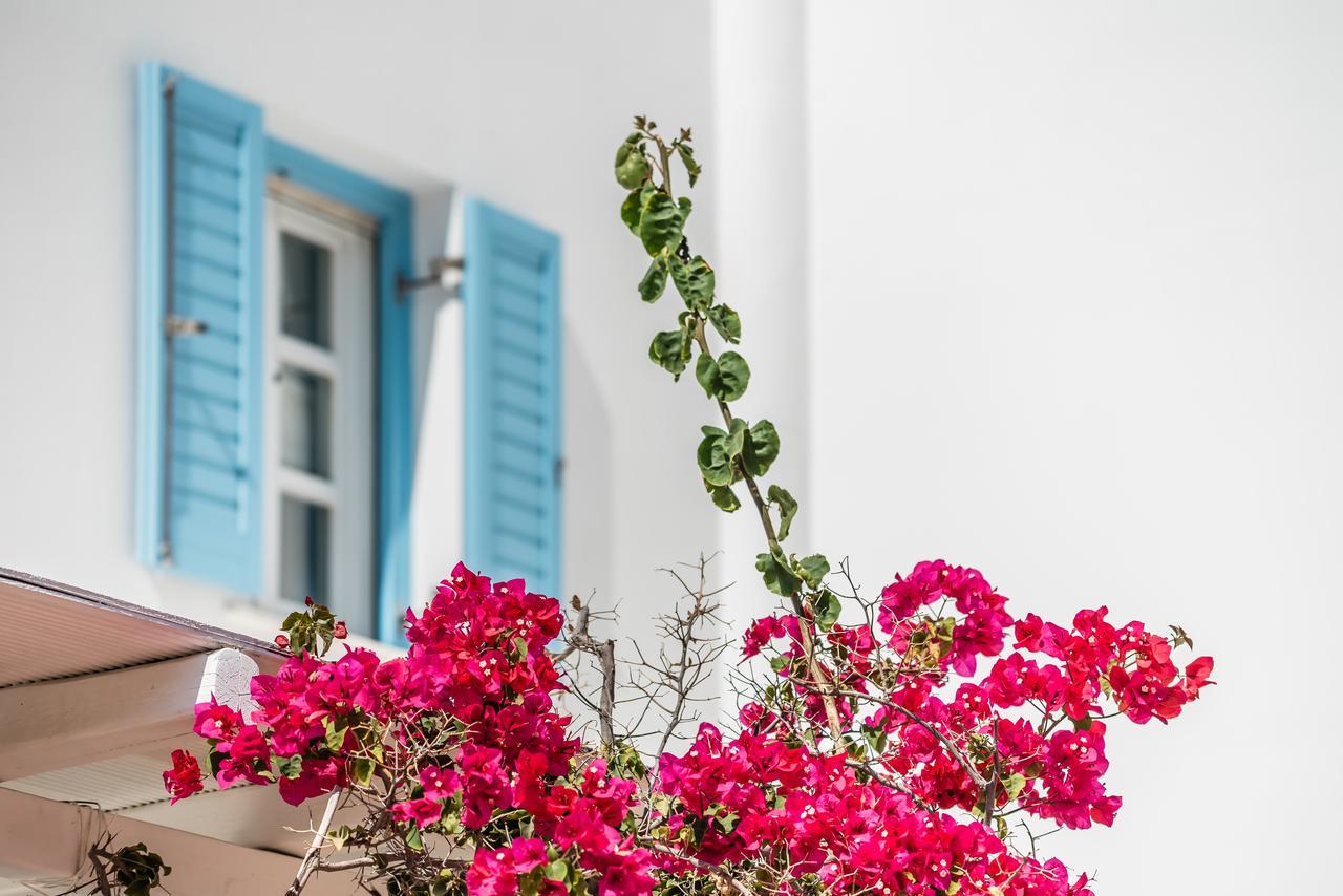 Hotel Capo Di Mykonos Agios Ioannis Diakoftis