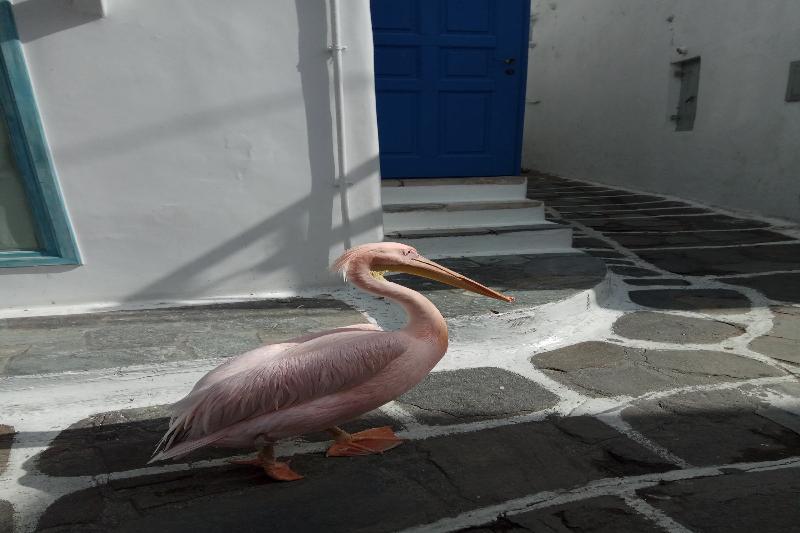 Mykonos Eterna * Psarou (Mykonos)
