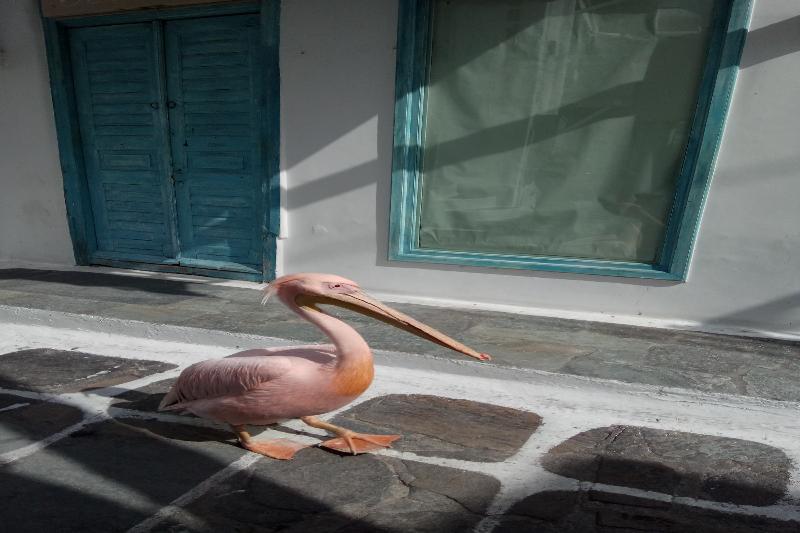 Villa Mykonos Eterna