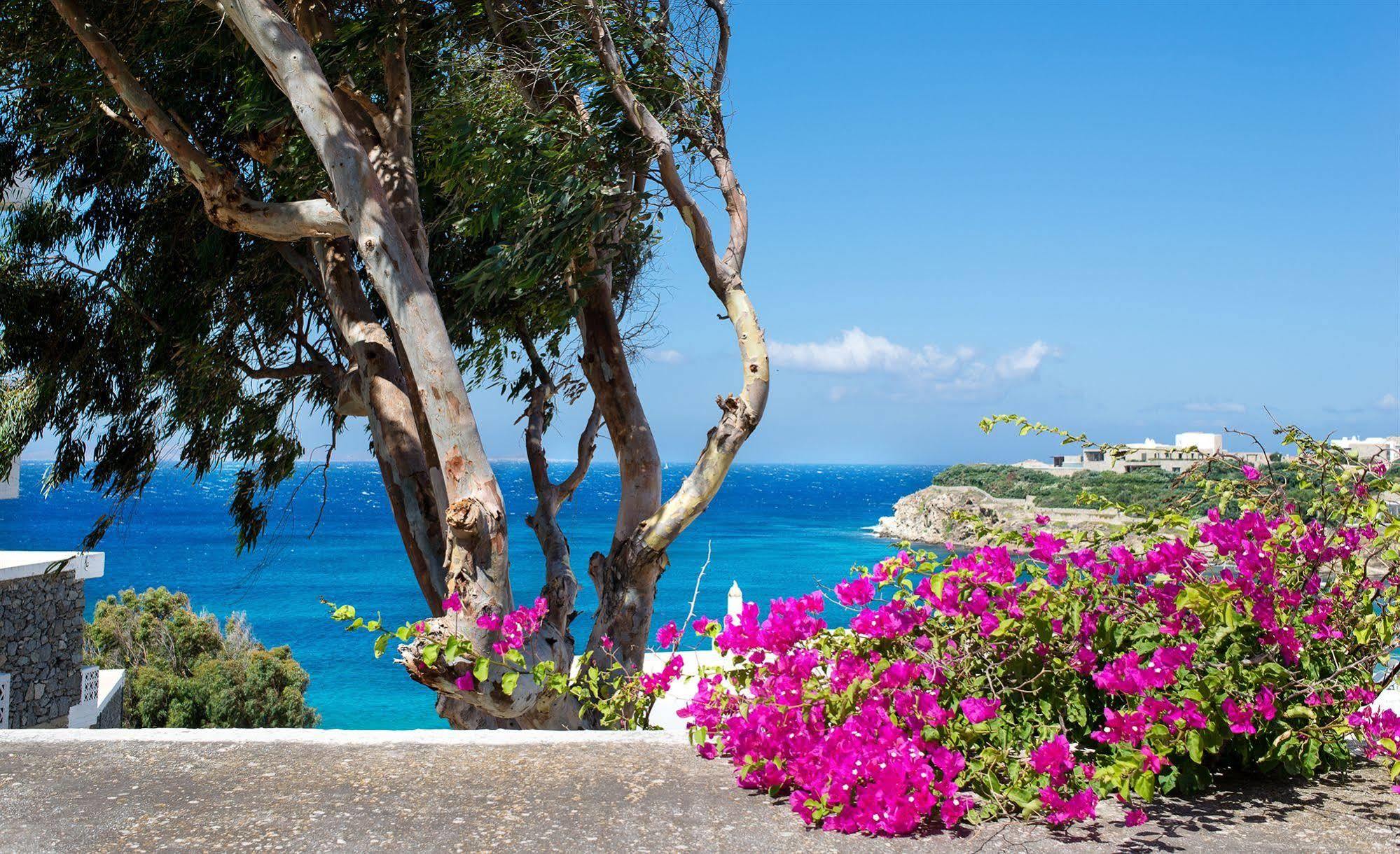 Hotel Alkistis Beach - Adults Only