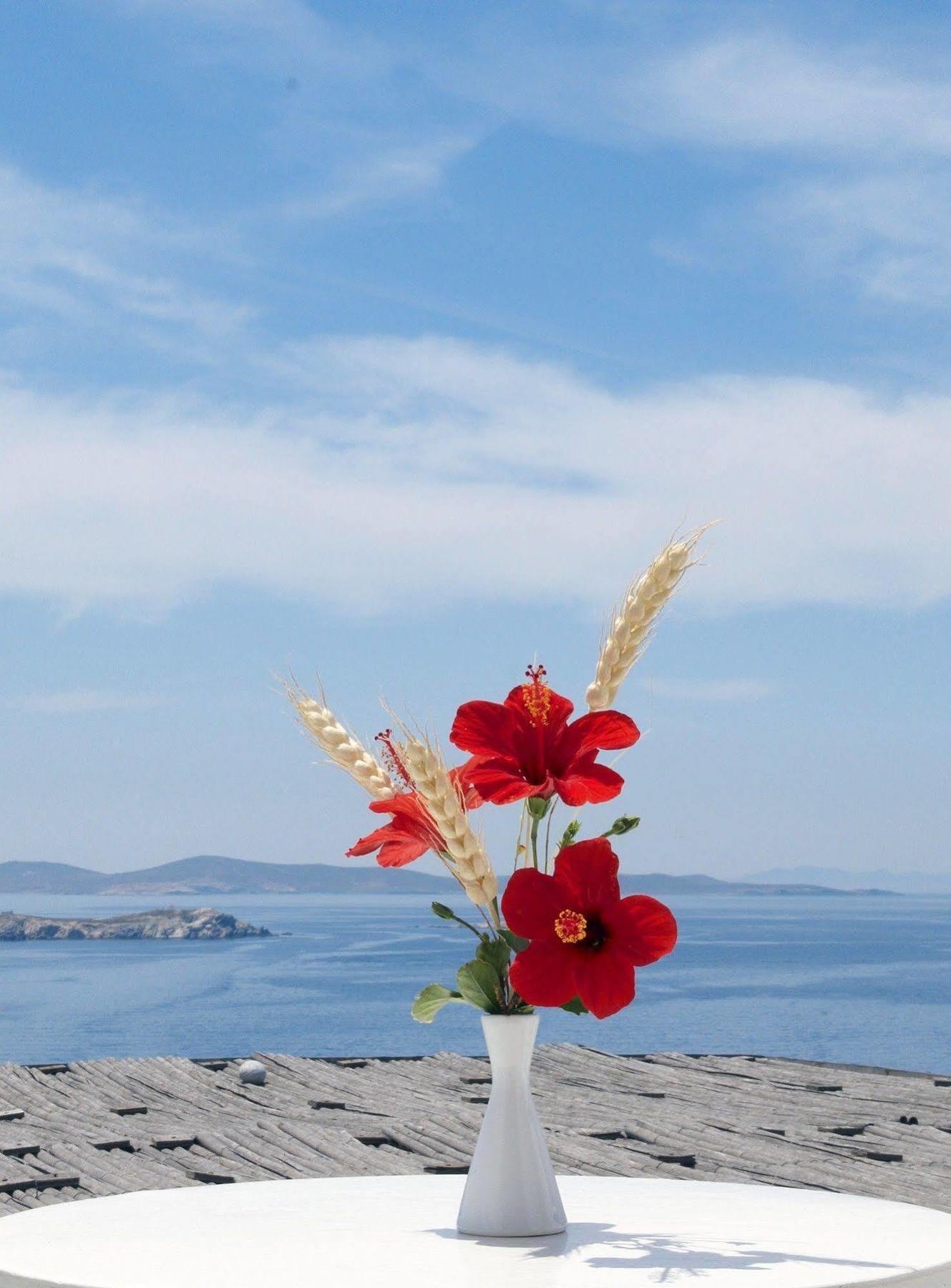 Mykonos View