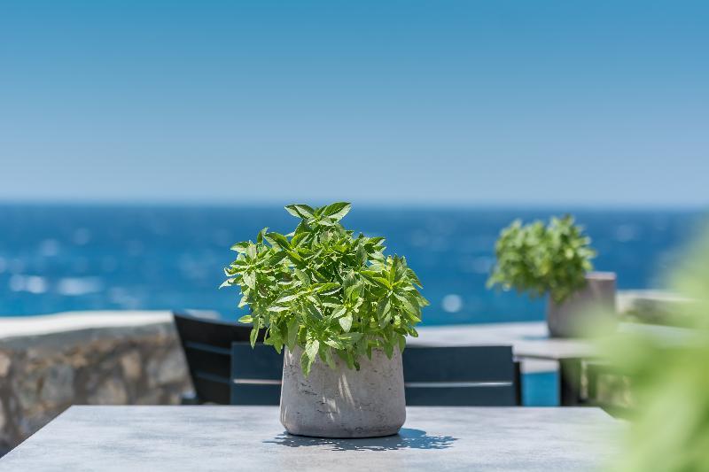 Capo Di Mykonos Hotel Agios Ioannis Diakoftis