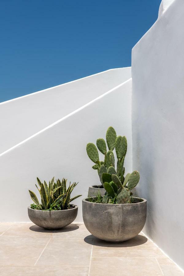 Avra Mykonos *
