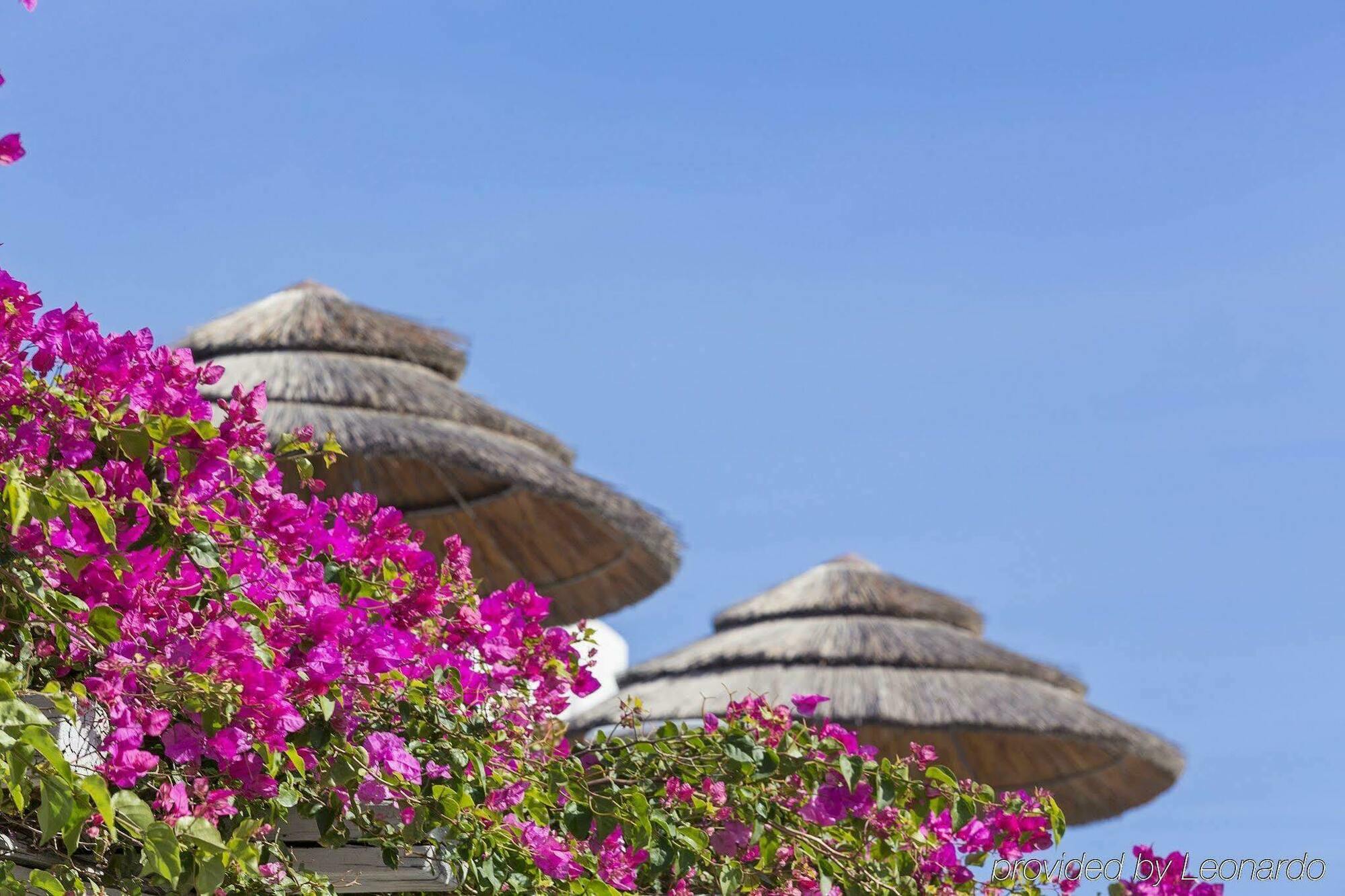Hotel Archipelagos - Small Luxury Of The World Kalo Livadi