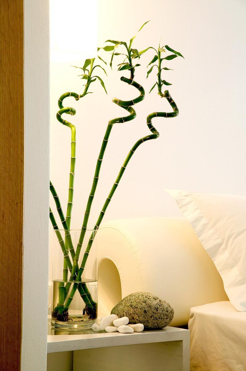 Resort Petasos & - Small Luxury Of The World
