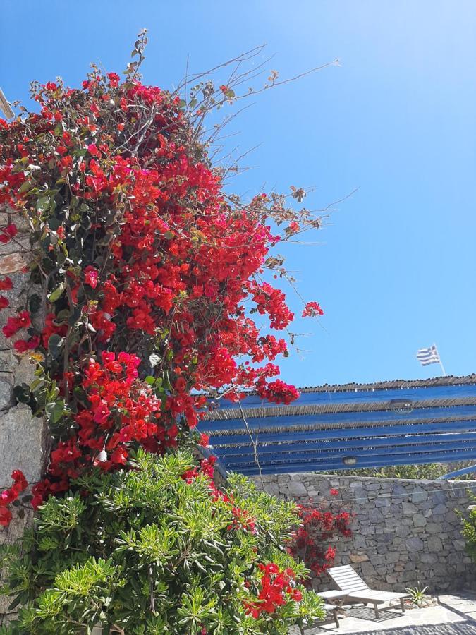 Chaniotis Studios