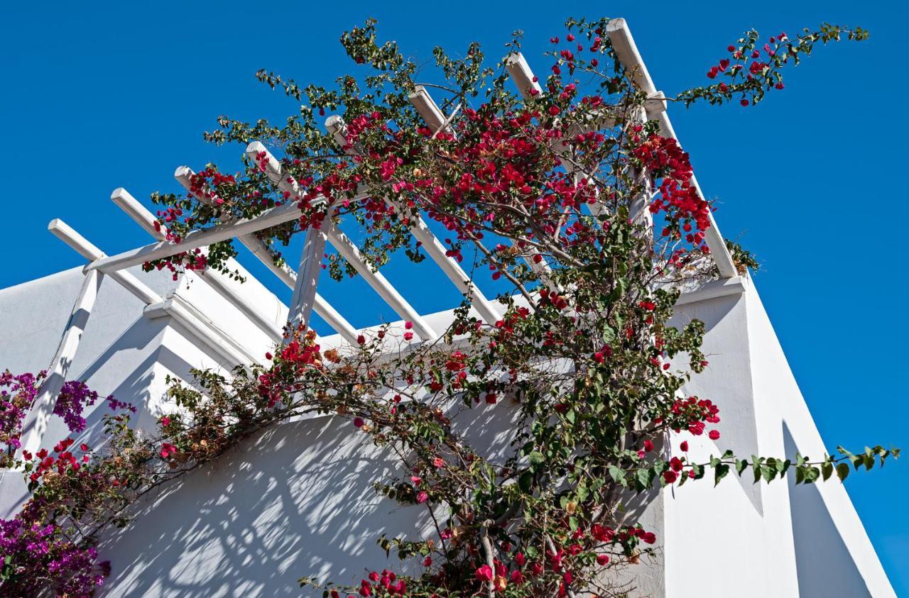 Casa Cozy Pousada Mykonos Town