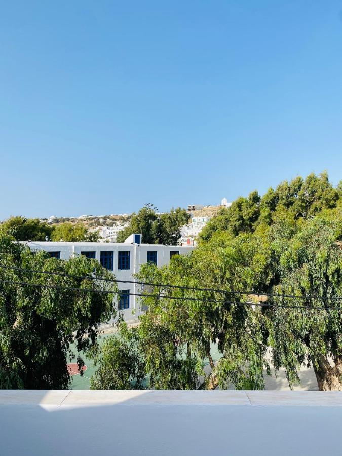 Appartement Intown Mykonos- Two Bedrooms Duplex House Mykonos Town